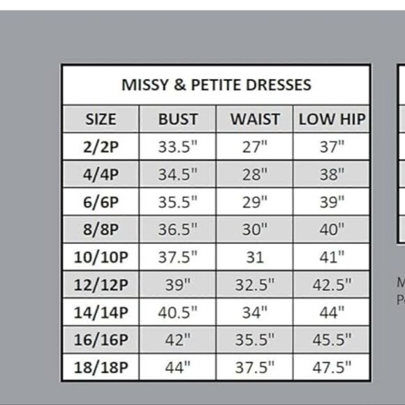 Alex Evenings Shearh Lace Dress with Sewuin Detail - Picture 6 of 6